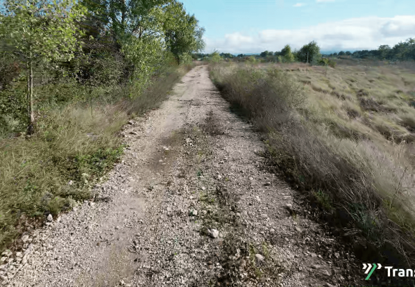 vlcsnap-2025-04-28-13h19m17s568
